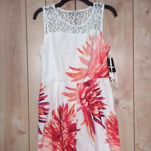 Sandra Darren flowers dress